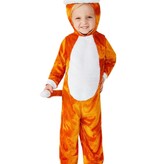 Katten Kostuum Peuter Oranje