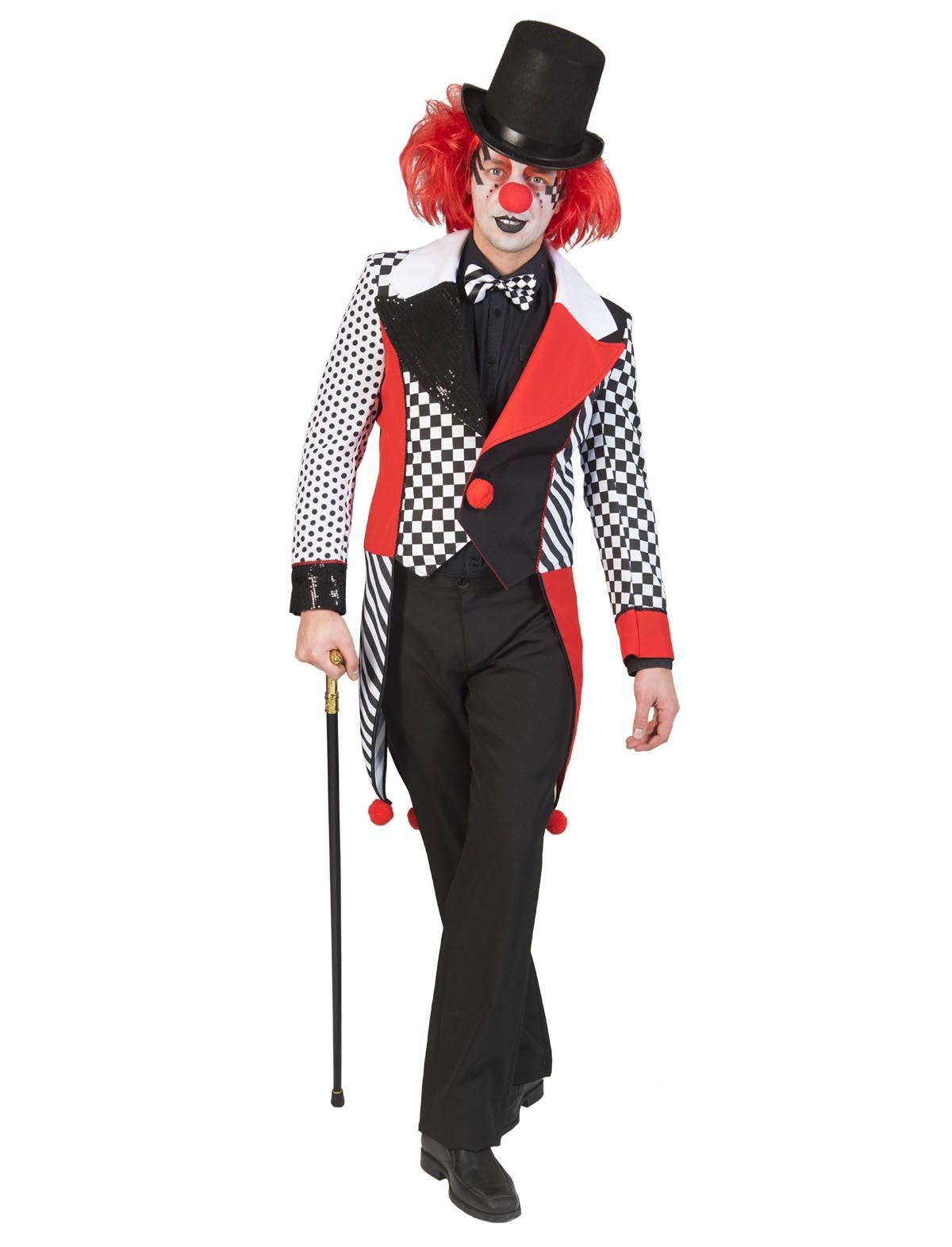 Jester Harlekijn Kostuum Heren