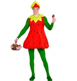 Aardbei Kostuum Volwassenen