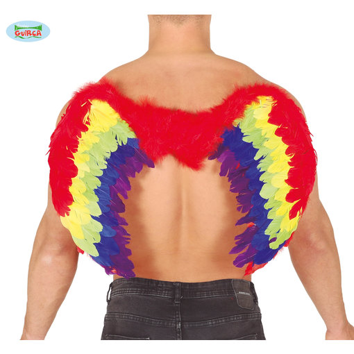 Regenboog vleugel 80x50cm