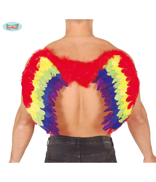 Regenboog vleugel 80x50cm