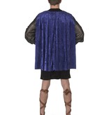 Klassieke Griekse  Strijder Man Kostuum