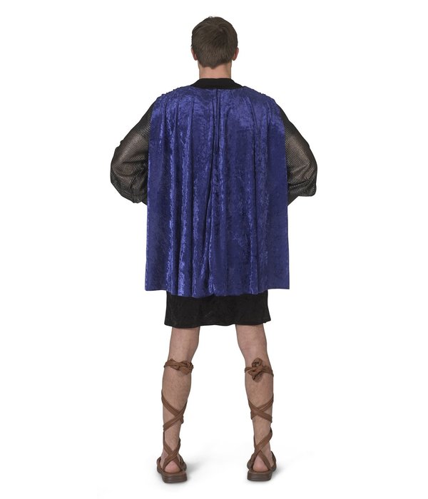 Klassieke Griekse  Strijder Man Kostuum