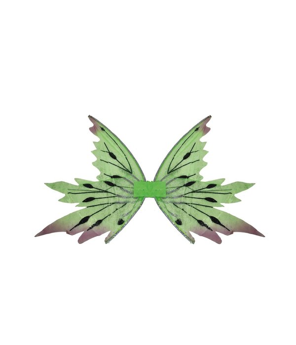 Vleugels Tinkerbell