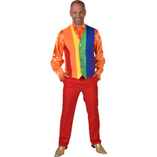 Regenboog Gilet Heren