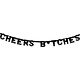 Letterslinger 'Cheers B*tches' Zwart - 6 meter