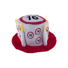 Feesthoed Verkeersborden 16 jaar