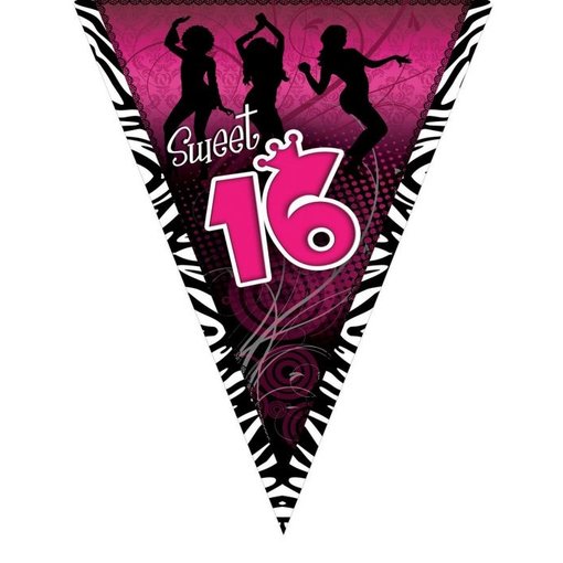Vlaggenlijn Sweet 16 Roze - 5m