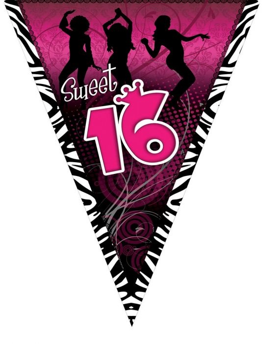 Vlaggenlijn Sweet 16 Roze - 5m afbeelding