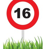 Verkeersbord 16 Jaar Tuin 36cm