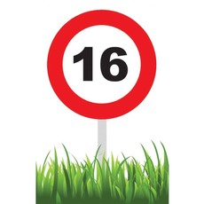 Verkeersbord 16 Jaar Tuin 36cm