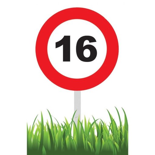 Verkeersbord 16 Jaar Tuin 36cm