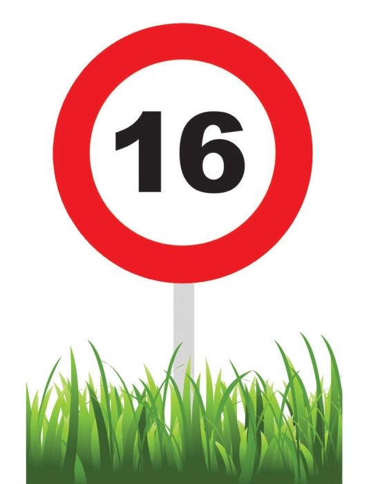 Verkeersbord 16 Jaar Tuin 36cm afbeelding