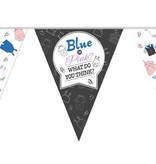 Vlaggenlijn Blue Or Pink Gender Reveal