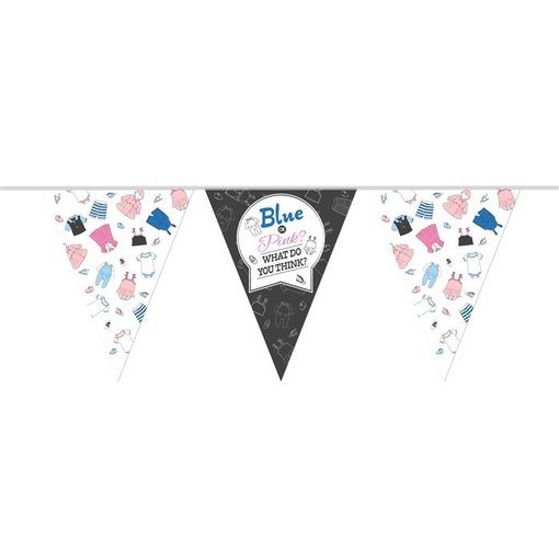 Vlaggenlijn Blue Or Pink Gender Reveal