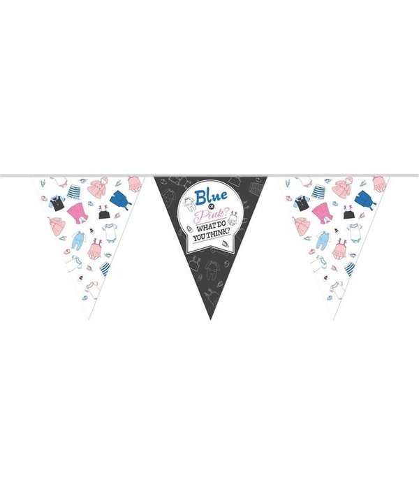 Vlaggenlijn Blue Or Pink Gender Reveal