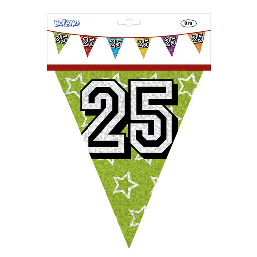 Vlaggenlijn Holografisch 25 Jaar - 8 Meter