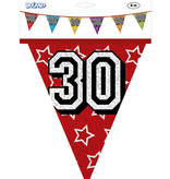 Vlaggenlijn Holografisch 30 Jaar - 8 Meter