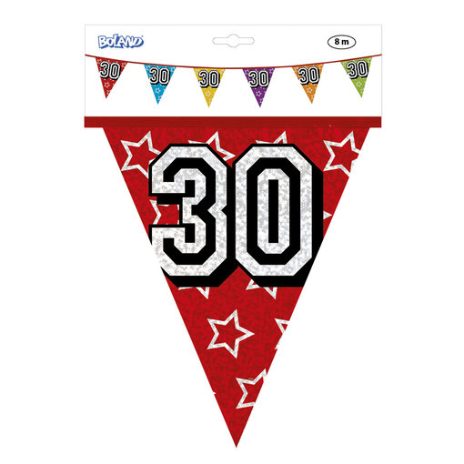 Vlaggenlijn Holografisch 30 Jaar - 8 Meter