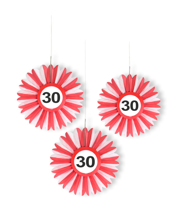 Honeycomb waaier verkeersbord 30 jaar