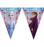 Vlaggenlijn Frozen 2 - 2 meter
