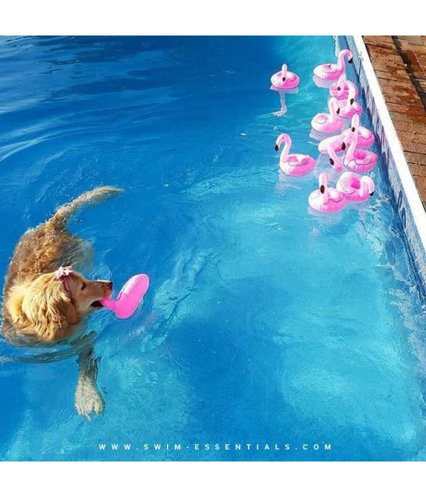 Roze Opblaas Flamingo Bekerhouder