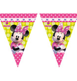 Vlaggenlijn Minnie Mouse Party - 2.3  Meter