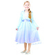 Frozen II jurk Elsa Klassiek