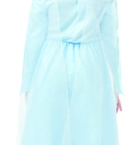 Frozen II jurk Elsa Klassiek