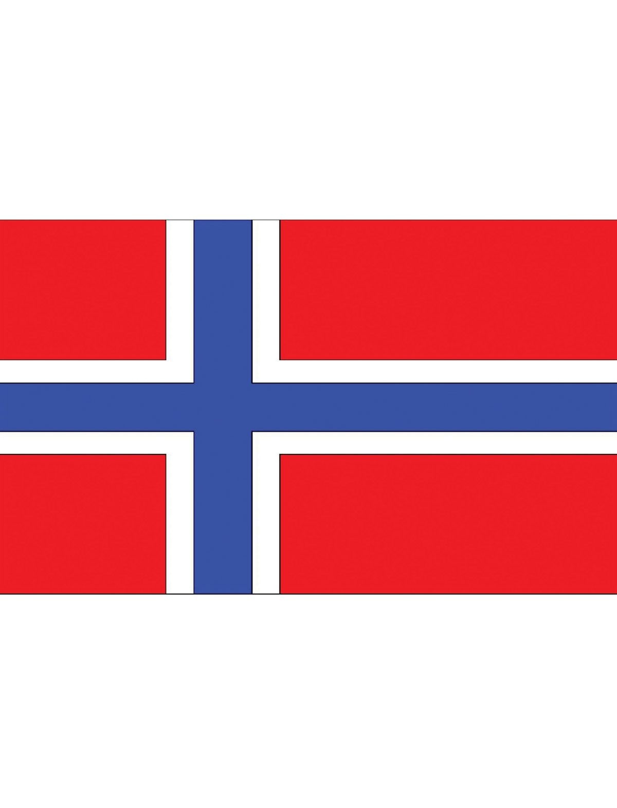 Vlag Noorwegen - 90x150 cm afbeelding