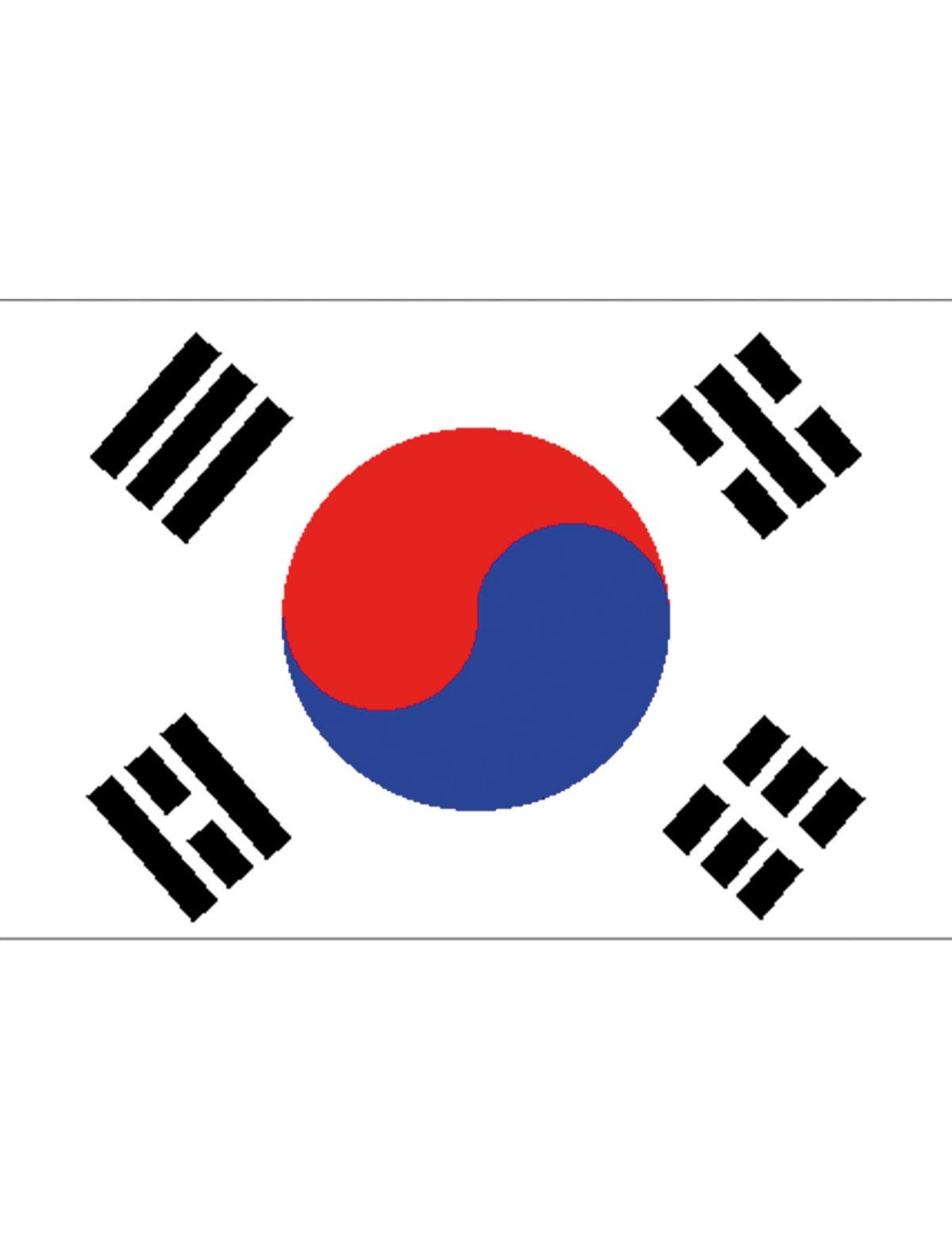 Vlag Zuid-Korea - 90x150 cm afbeelding