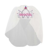 Bride To Be Tiara Met Sluier Wit