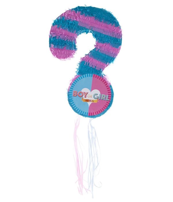 Gender Reveal Party Piñata Vraagteken - 51x34cm
