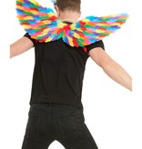 Regenboog Vleugels Met Veren