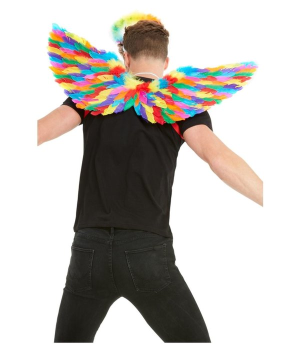 Regenboog Vleugels Met Veren