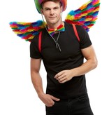 Regenboog Vleugels Met Veren