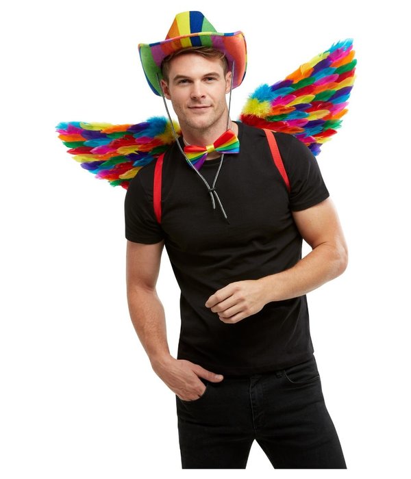 Regenboog Vleugels Met Veren