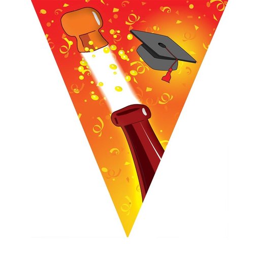 Vlaggenlijn Geslaagd Champagne - 5 Meter