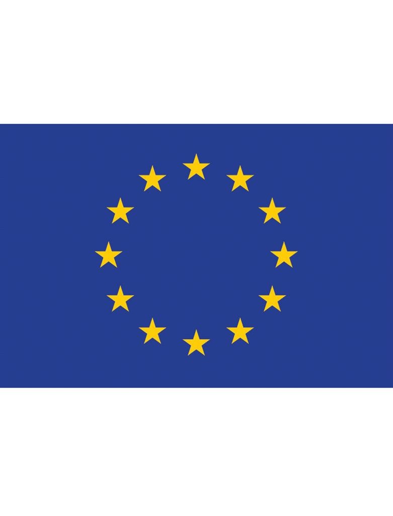 Vlag Europa 90 x 150cm afbeelding