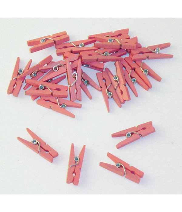 Mini knijpers hout roze (24 st)
