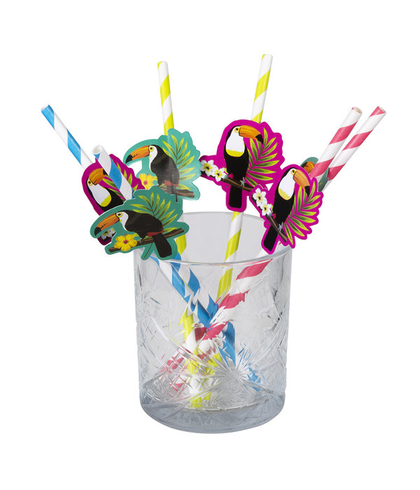 Papieren Rietjes Set Toekan (6st)