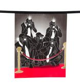 Vlaggenlijn Hollywood VIP (6m)