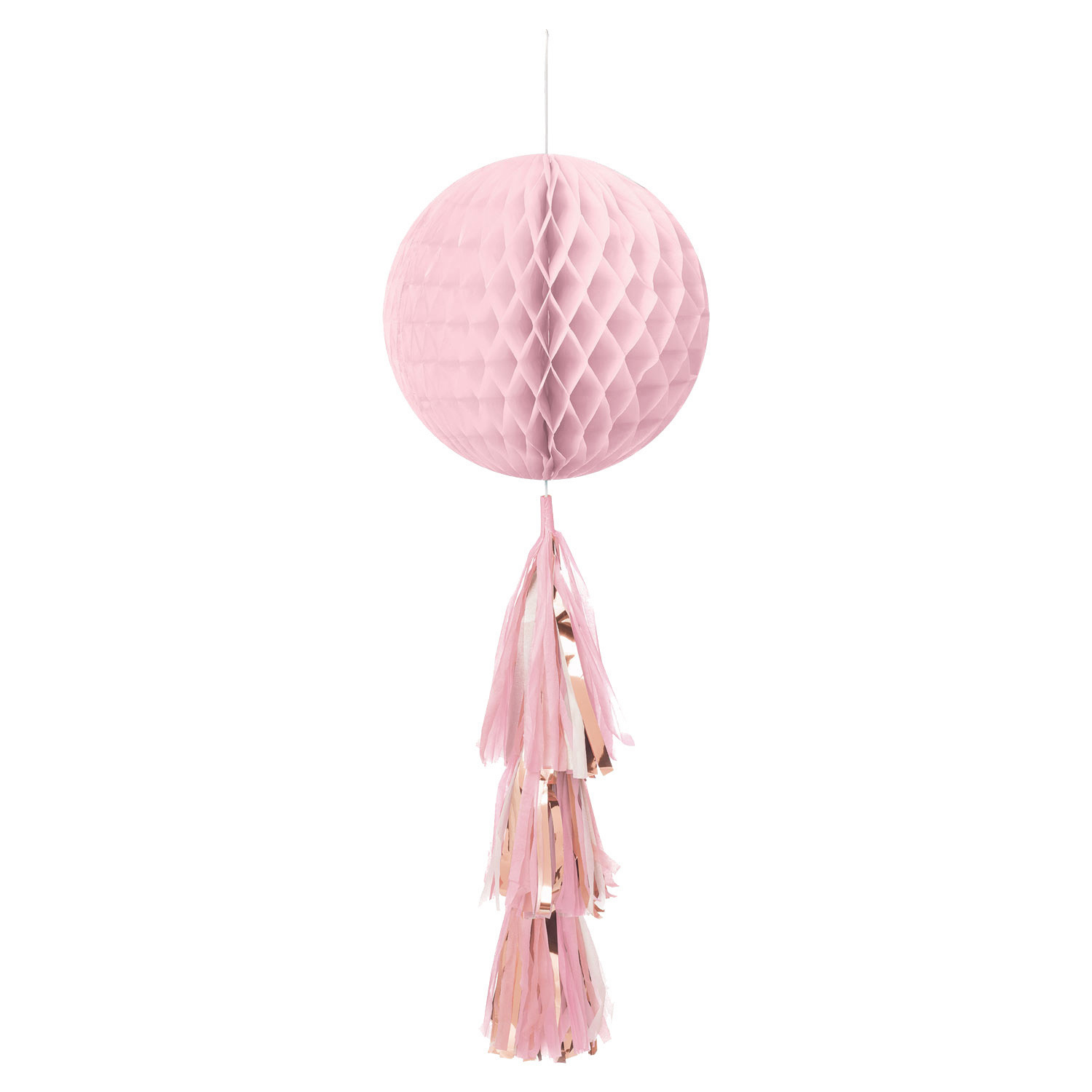 Honeycomb Lichtroze Bol Met Tassel (70cm) afbeelding