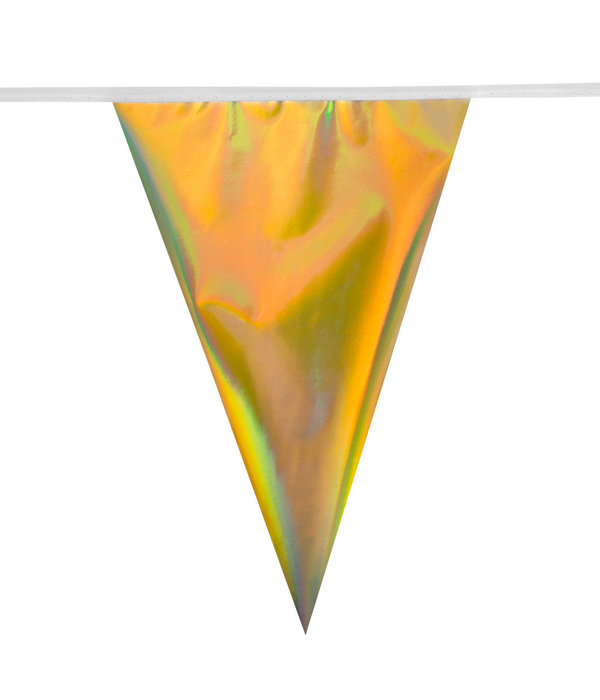 Folievlaggenlijn gekleurde eenhoorns (4m)