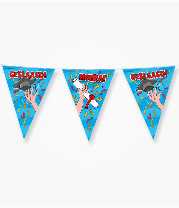 Vlaggenlijn Geslaagd Cartoon (10m)