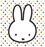 Uitdeelzakje Nijntje (6st)