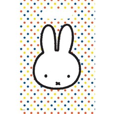 Uitdeelzakje Nijntje (6st)