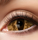 Sclera Krokodil lenzen