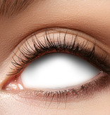 Sclera volledig Witte  lenzen
