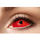 Sclera Rode  lenzen